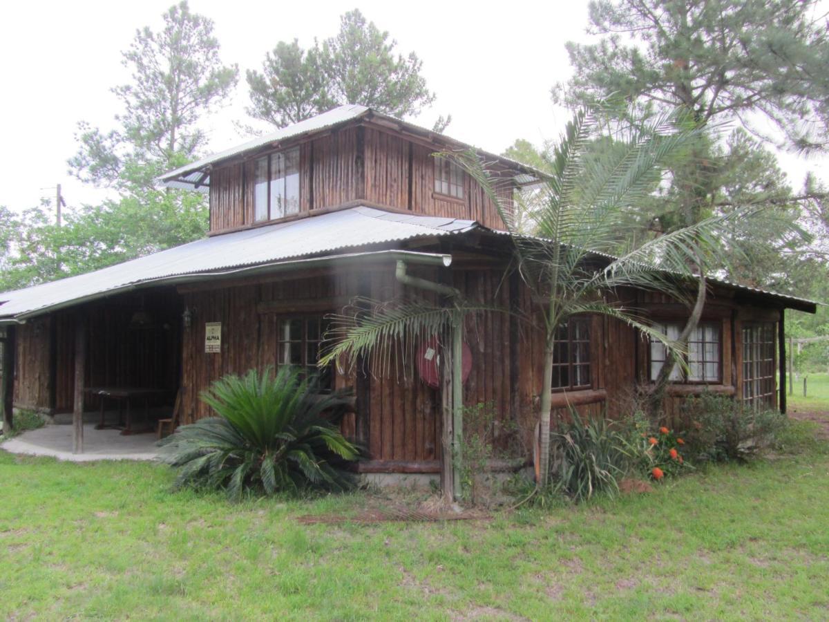 Toad Tree Cabins Sodwana Bay Luaran gambar