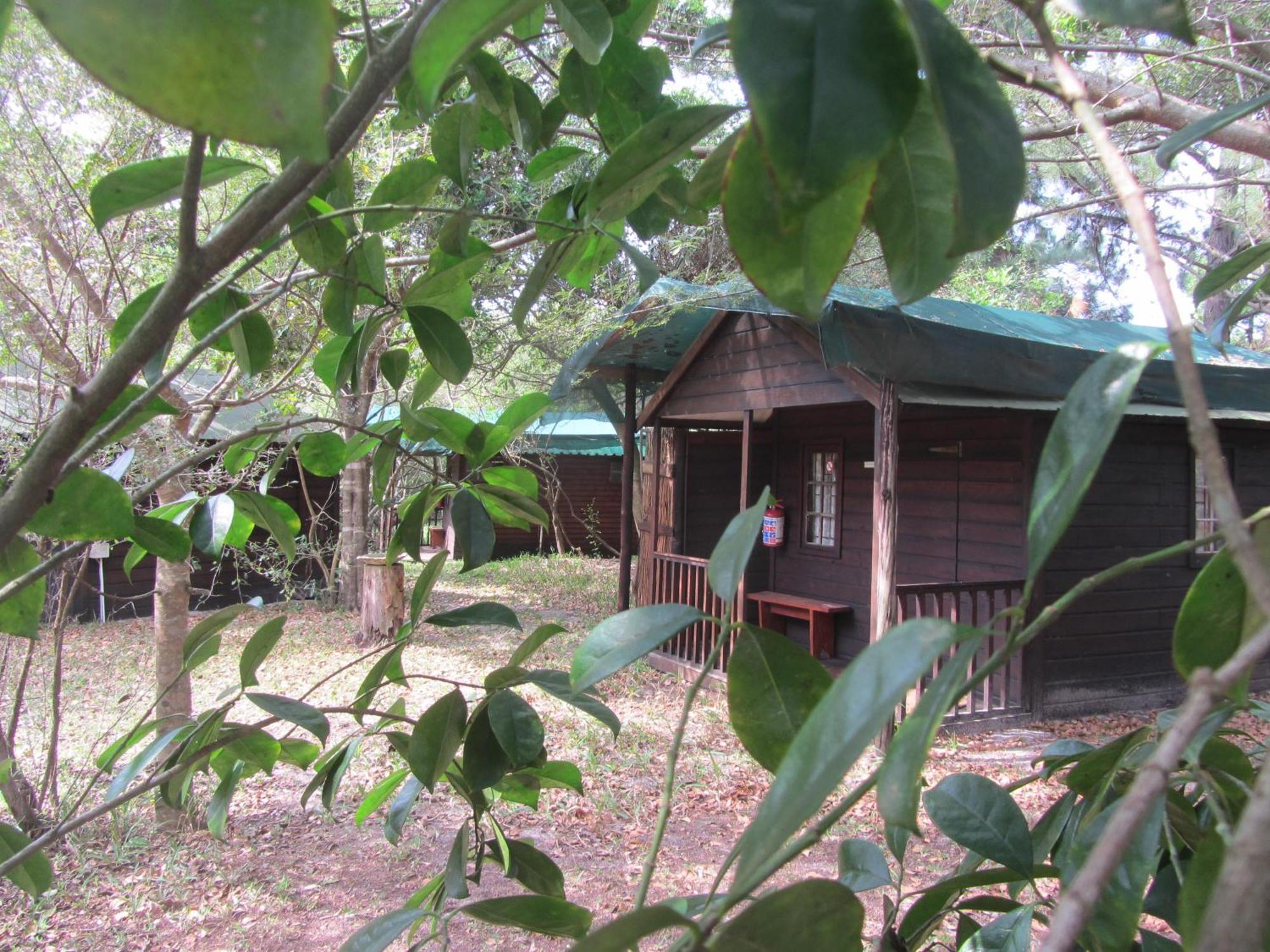Toad Tree Cabins Sodwana Bay Luaran gambar