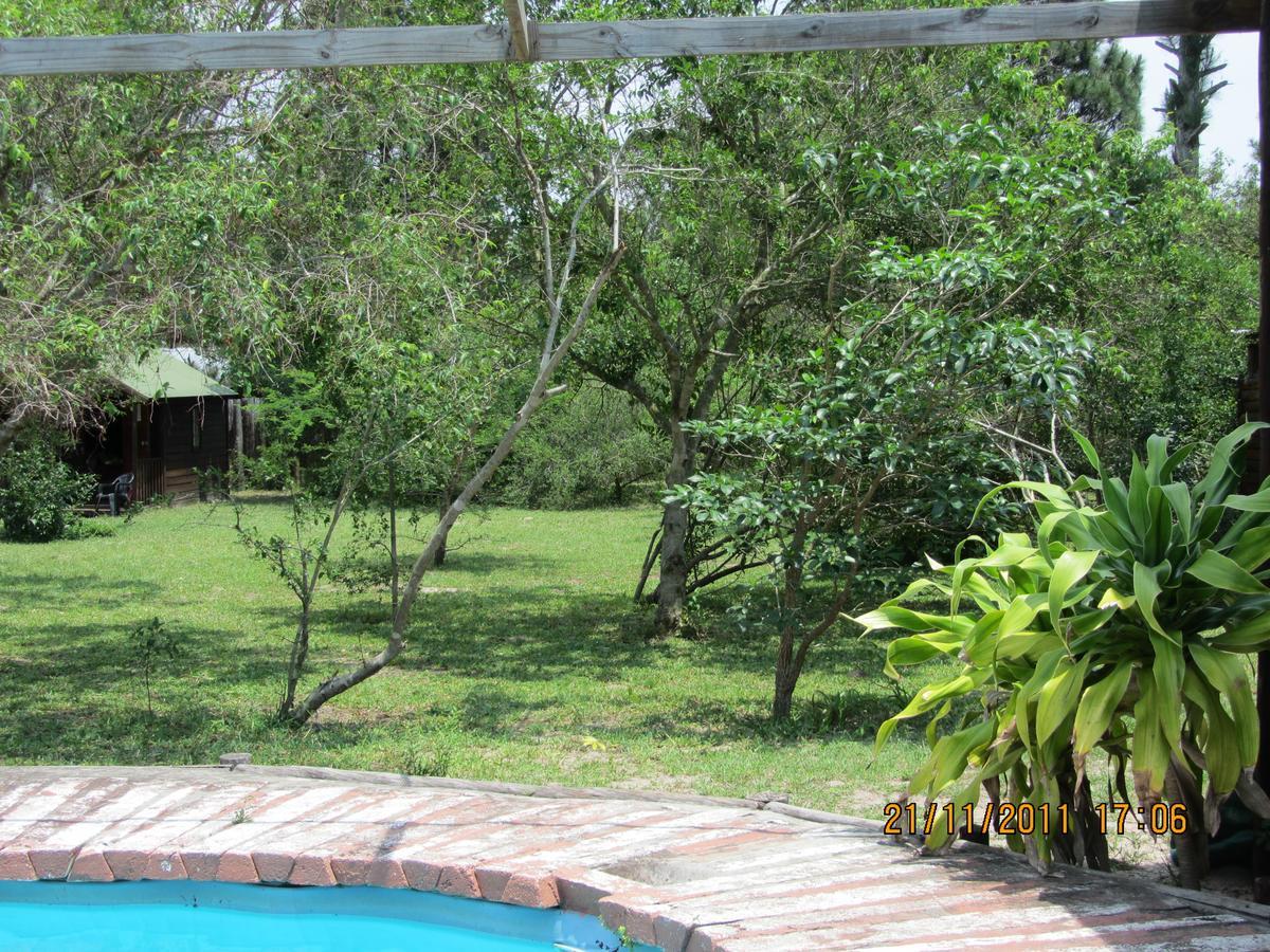Toad Tree Cabins Sodwana Bay Luaran gambar